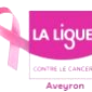 logo ligue